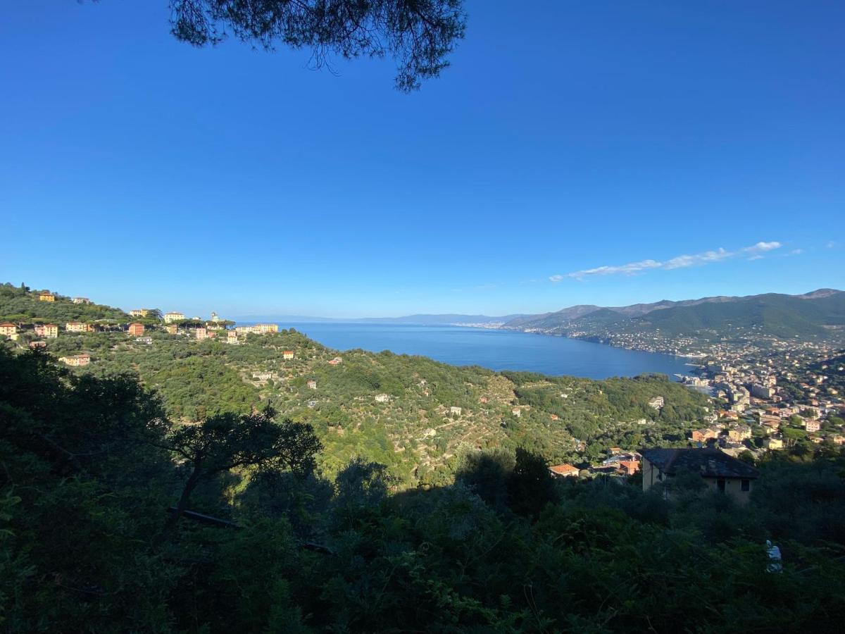 Appartamento Victoria Camogli Zewnętrze zdjęcie