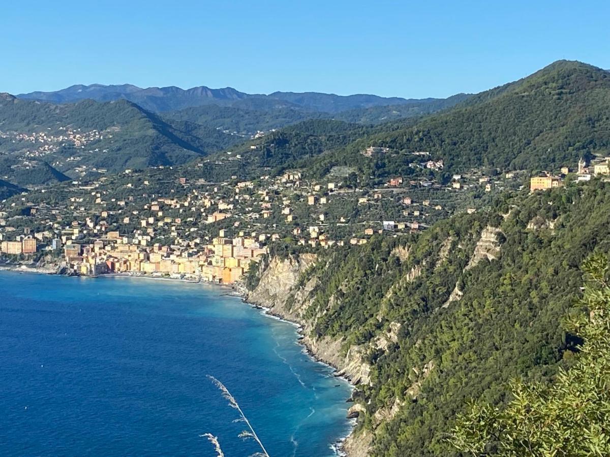 Appartamento Victoria Camogli Zewnętrze zdjęcie